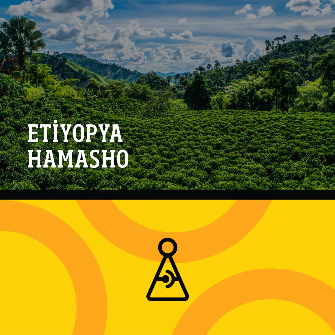 ETİYOPYA HAMASHO